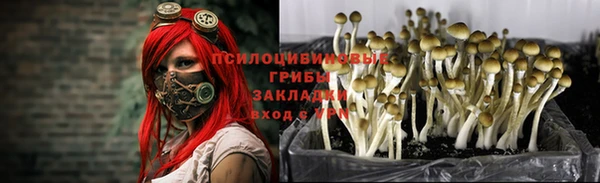 крисы Бронницы