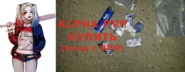 стафф Бородино